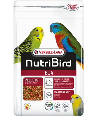 Nutribird B14 granulado para periquitos - Conceito Animal
