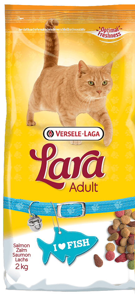 Lara Adult com Salmão ração premium cães pelagem brilhante - Conceito Animal