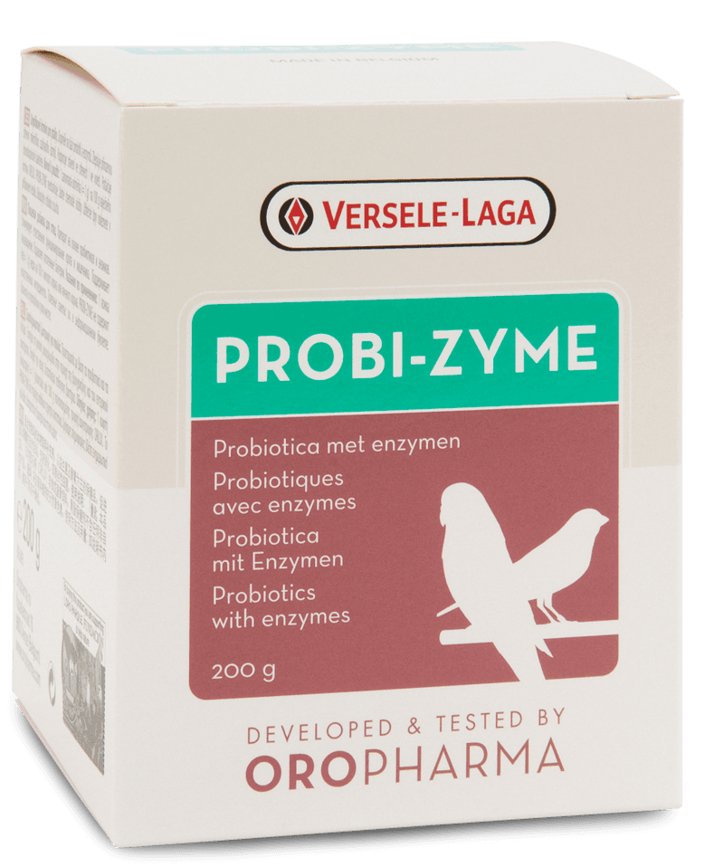PROBI-ZYME Versele-Laga probiótico em pó para aves - Conceito Animal