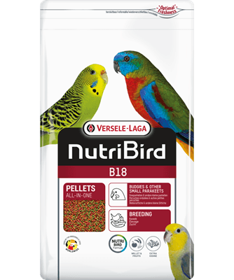 Nutribird B18 granulado de cria para periquitos - Conceito Animal