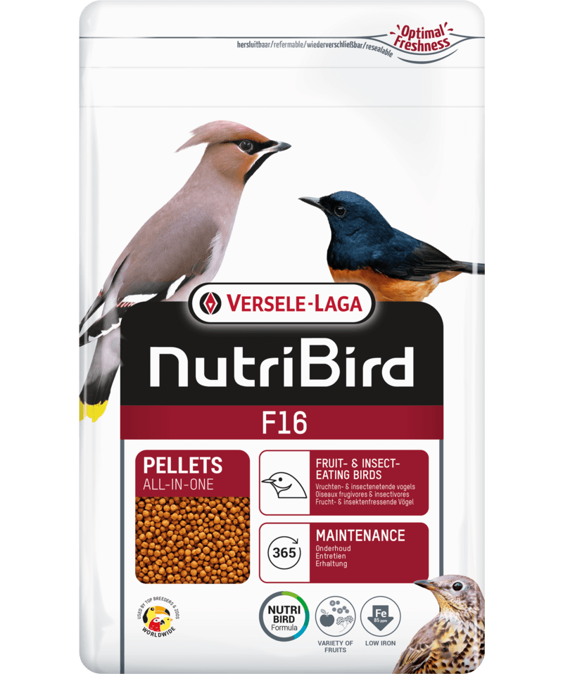 Nutribird F16 granulado para grandes psitacídeos - Conceito Animal