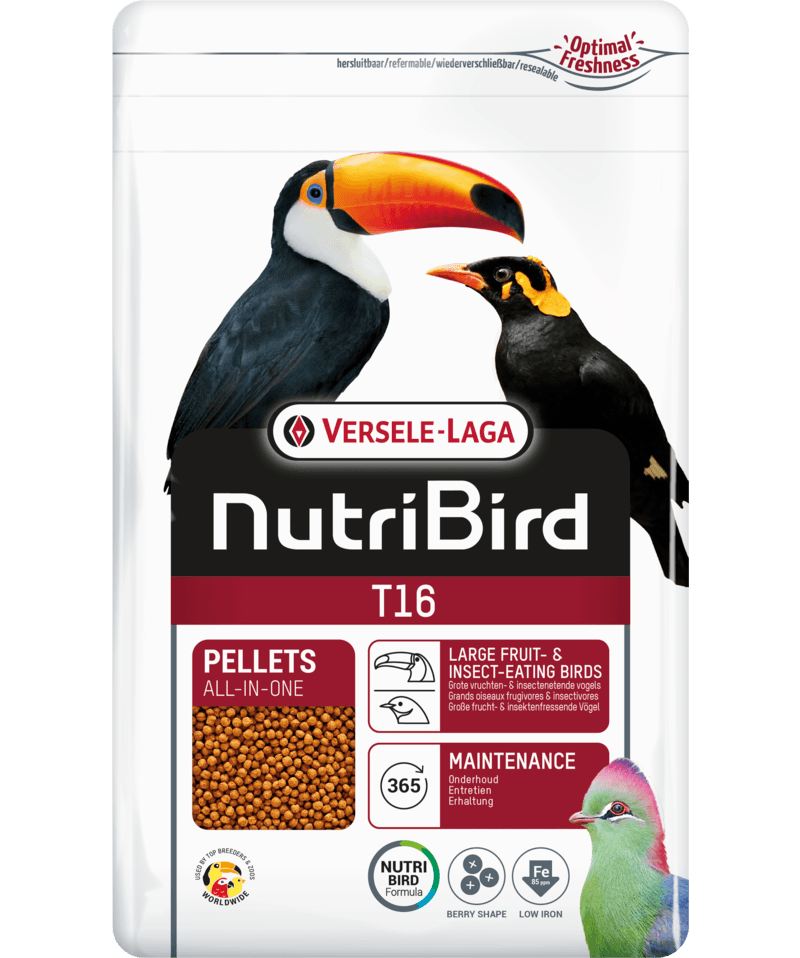 Nutribird T16 granulado para psitacídeos médios - Conceito Animal
