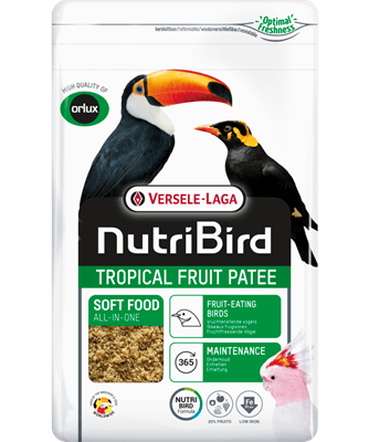Nutribird TROPICAL FRUIT PATEE - papa de criação para aves frugívoras