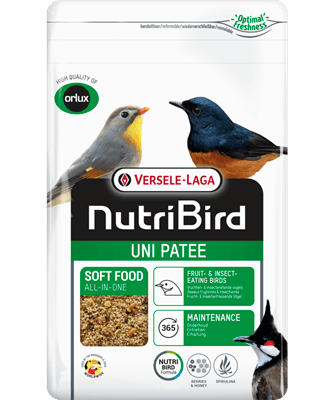 Nutribird Uni Patee para Aves - Alimento universal frugívoras insectívoras - Conceito Animal