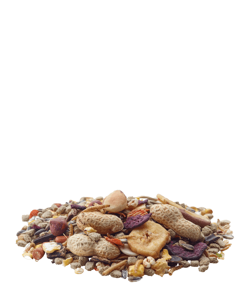 Nature Chip - Versele-Laga - 2
