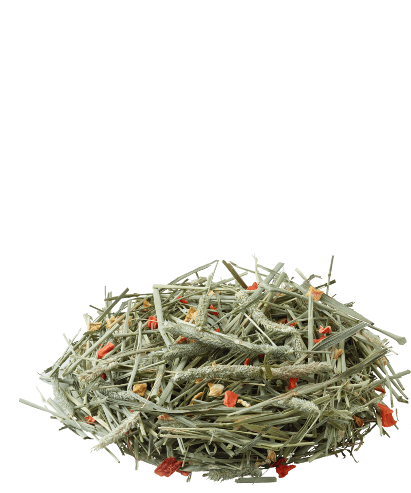 Feno Nature Timothy Hay Carrot & Pumpkin - Versele-Laga - 2