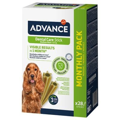 Advance Dental Care Stick Medium Maxi Cão - Snack dentário Affinity para cães de porte médio e grande - Conceito Animal