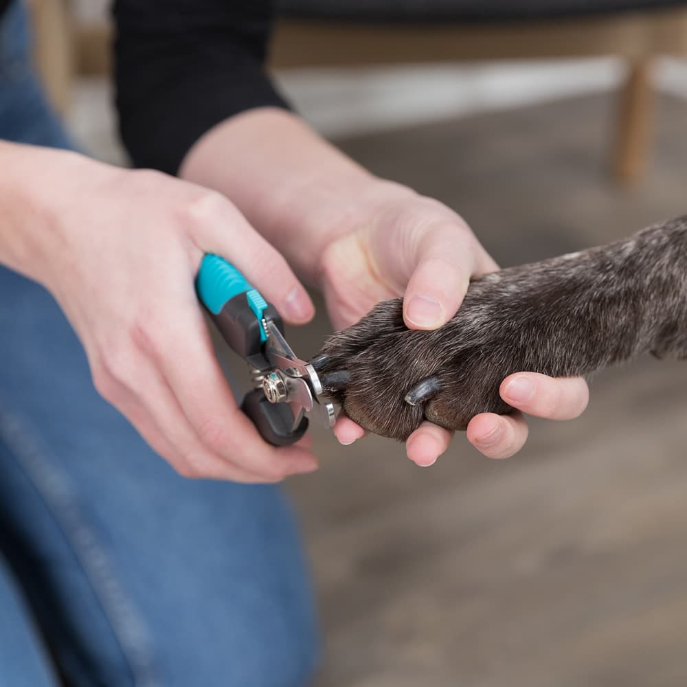 Alicate Corta Unhas para Cães e Gatos - Trixie - 2