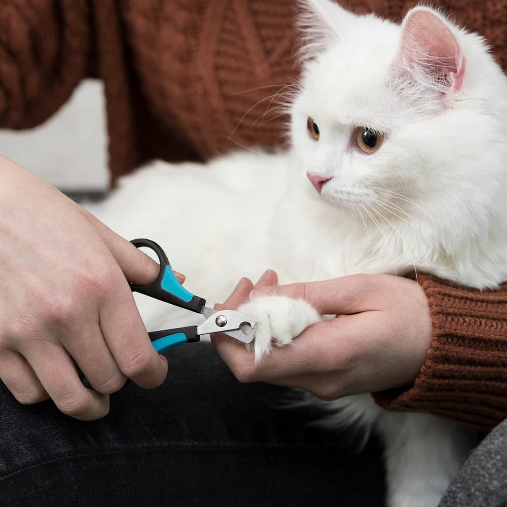 Tesoura Corta Unhas para Cães e Gatos - Trixie - 2