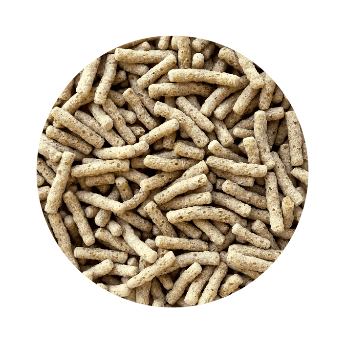 Sticks Para Peixes De Lago Pet Cup - alimento flutuante extrudido para carpas Koi e doiradas - Conceito Animal