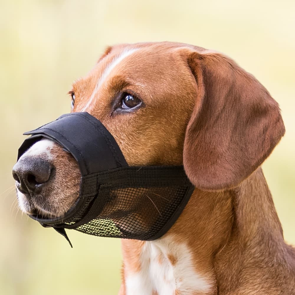 Açaime Ajustável Nylon Trixie em rede respirável para cães - acessório de segurança Conceito Animal