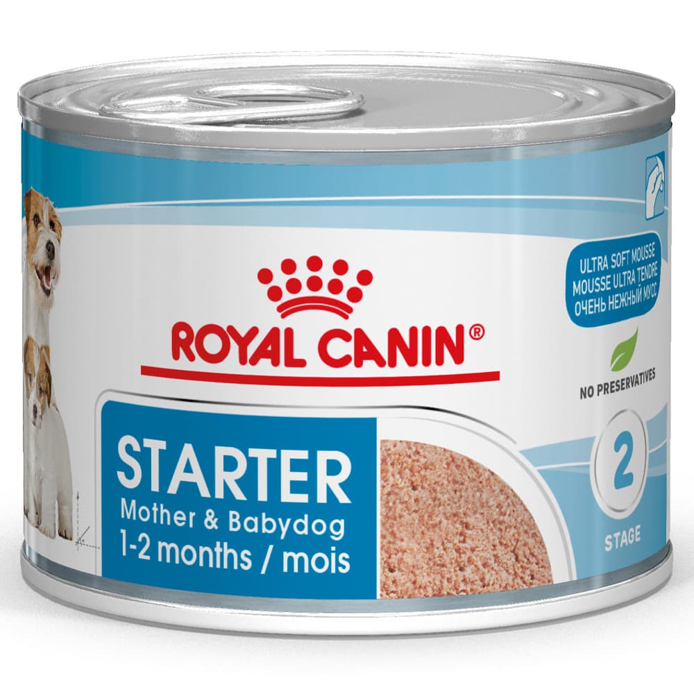 Royal Canin Mother Babydog Starter Mousse - mousse para cachorros recém-nascidos e cadelas gestantes - Conceito Animal