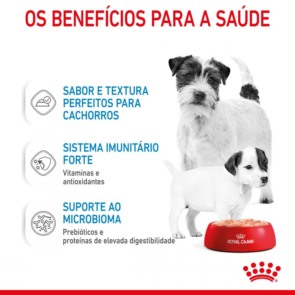 Royal Canin Mother & Babydog Starter - Em mousse - 3