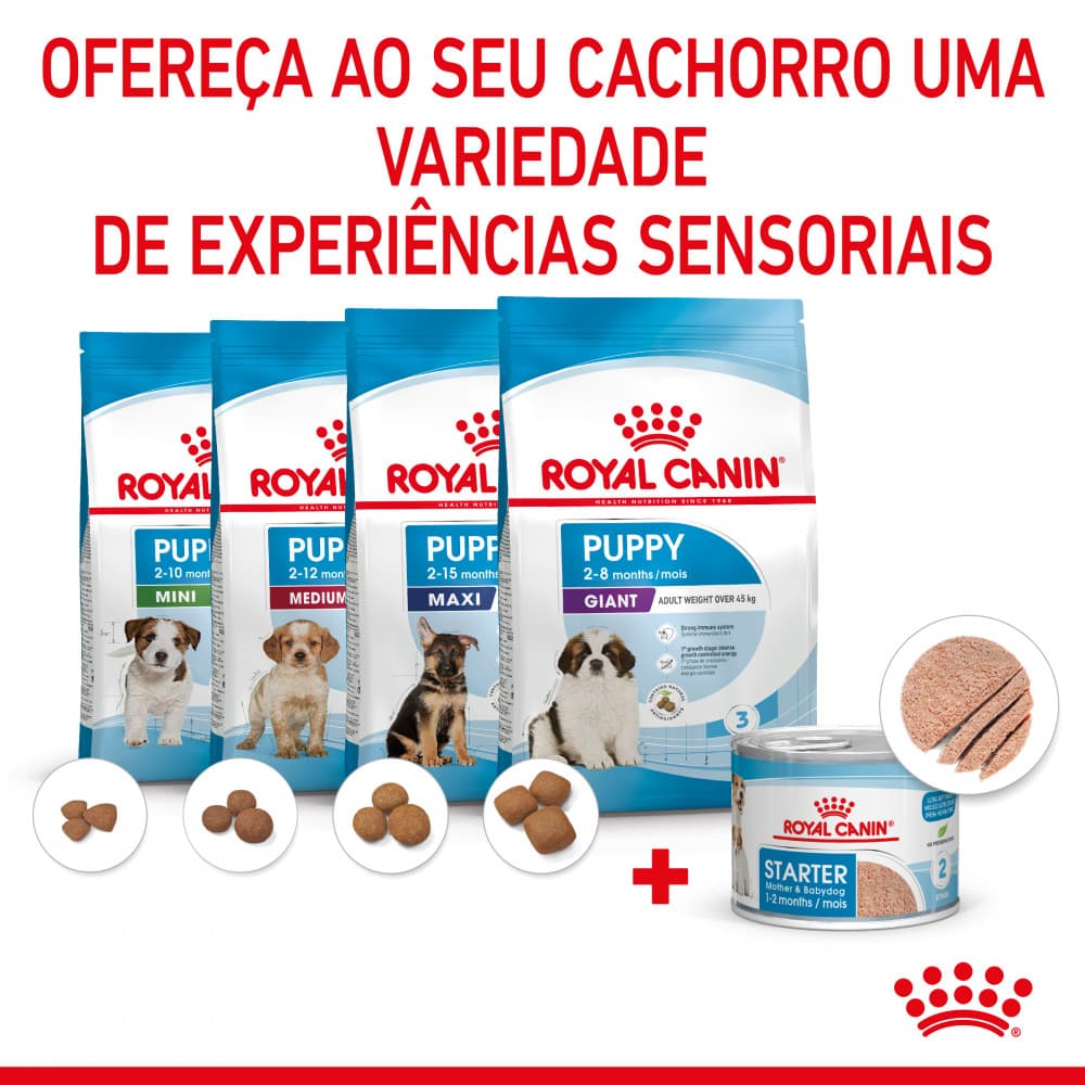 Royal Canin Mother & Babydog Starter - Em mousse - 5