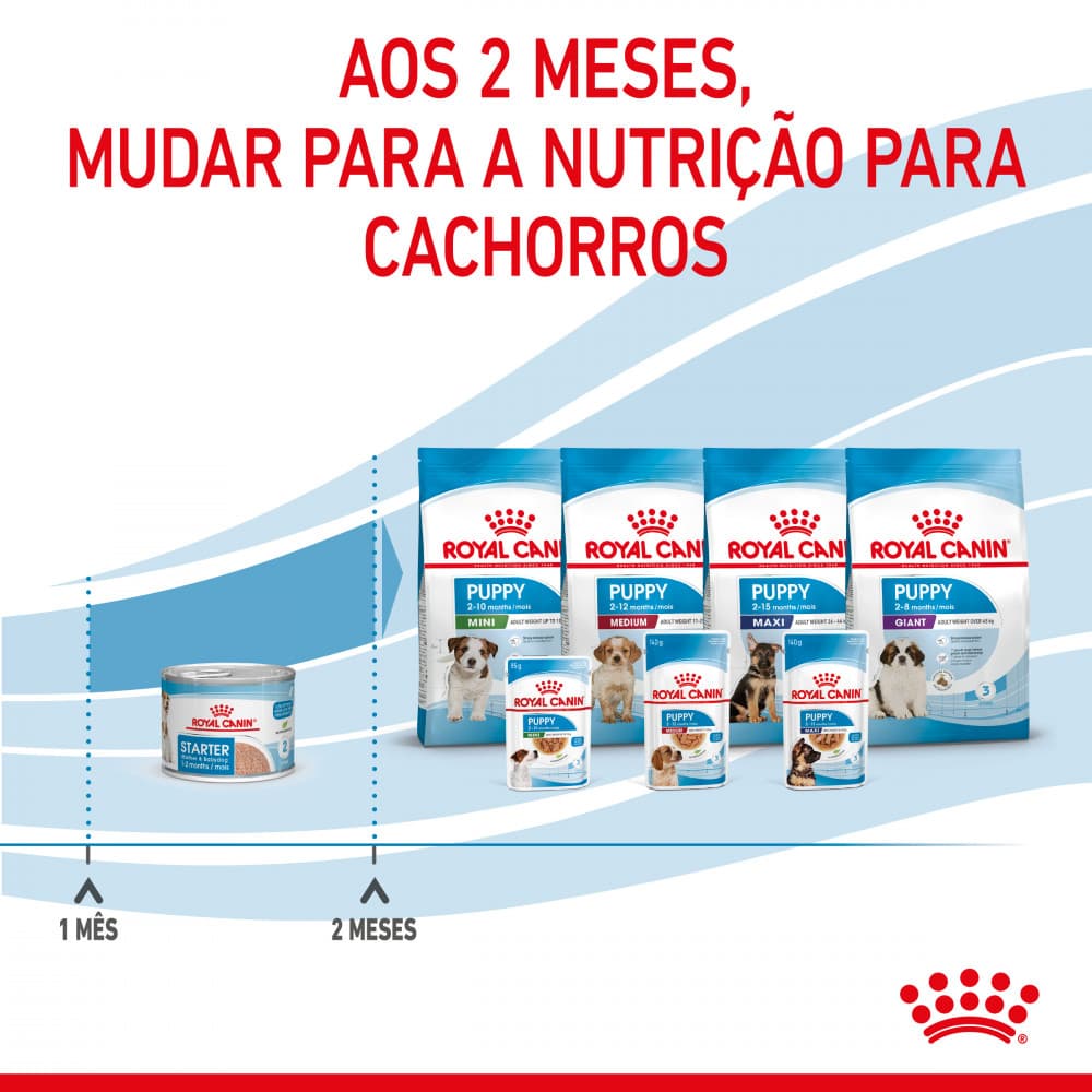 Royal Canin Mother & Babydog Starter - Em mousse - 6