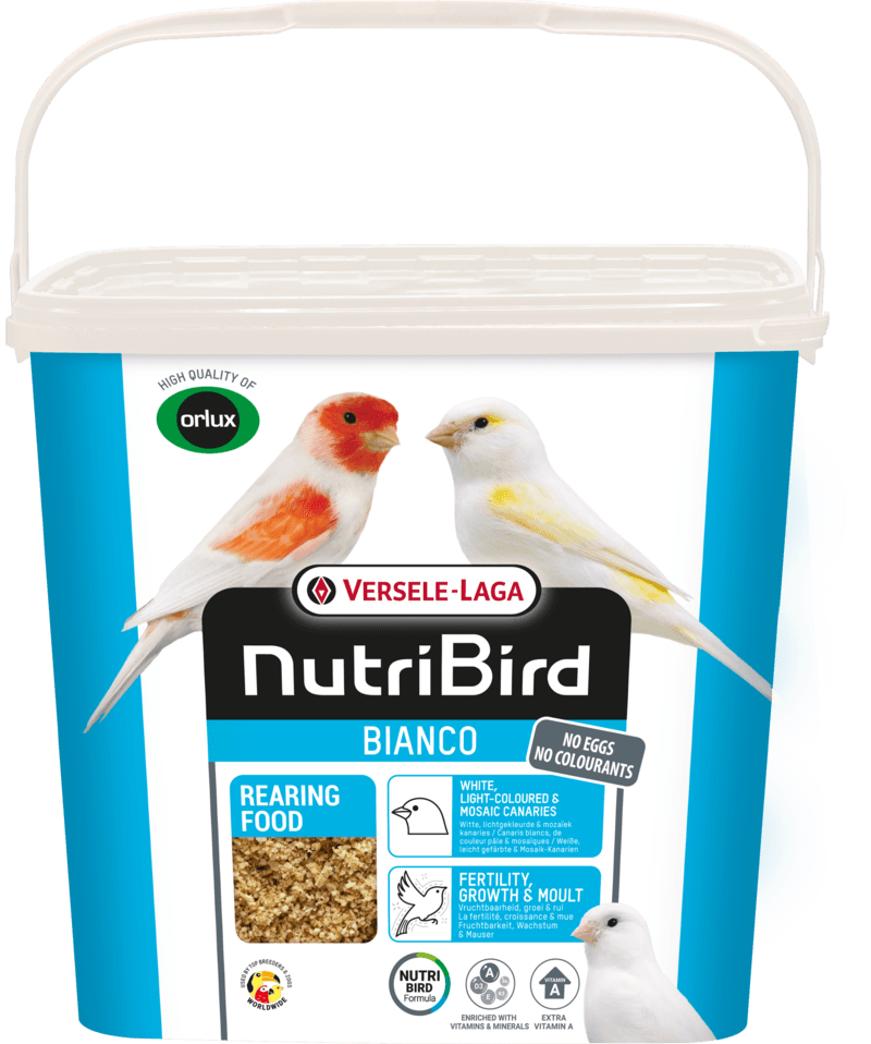 Nutribird Papa de cria Bianco - papa branca de criação para canários brancos e exóticos - Conceito Animal