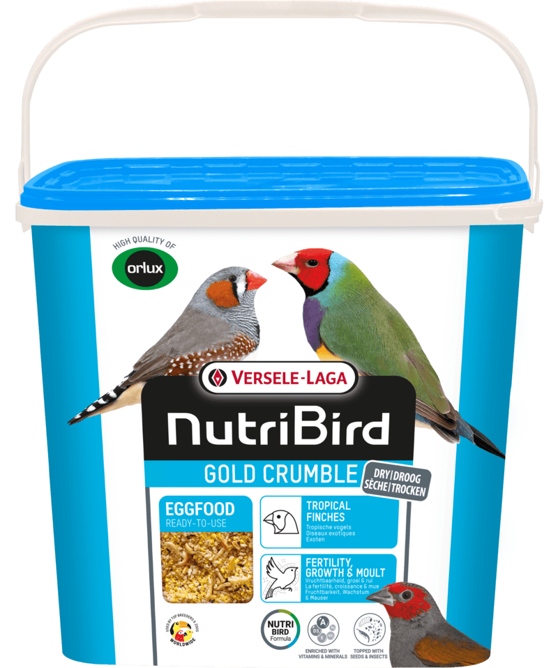 Nutribird Gold Crumble Aves Exóticas - Papa de ovo seca em migalhas Versele-Laga | Conceito Animal