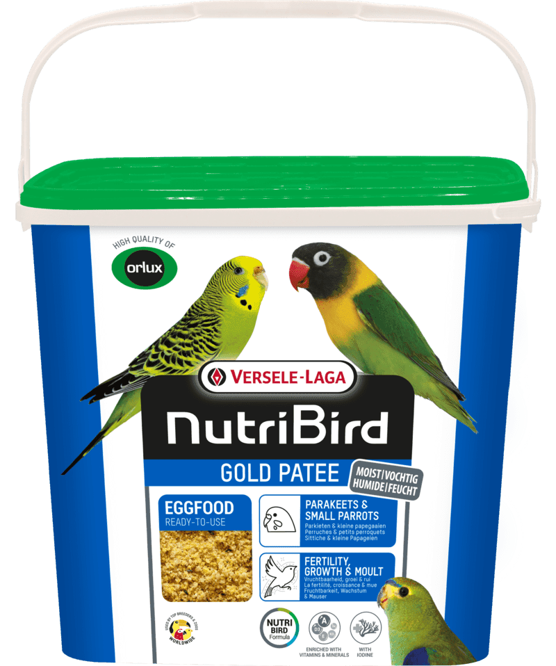 Nutribird Gold Patee Pequenos Psitacídeos - papa amarela Versele-Laga para agapornis e caturras - Conceito Animal
