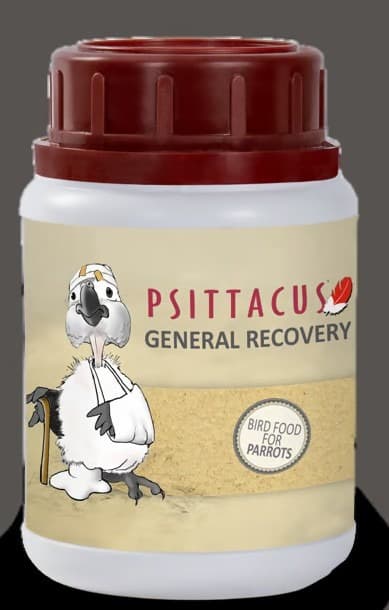 Psittacus General Recovery suplemento veterinário para psitacídeos debilitados - Conceito Animal