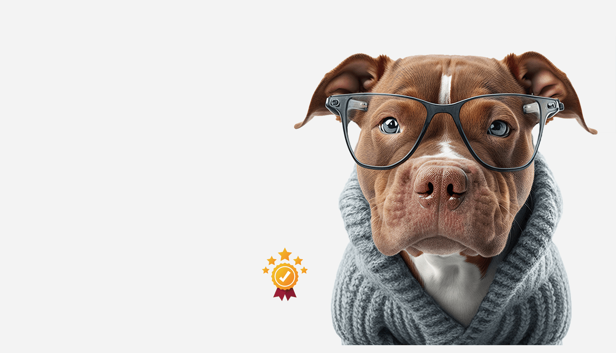 Conceito Animal
