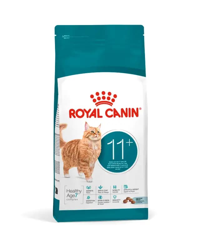Royal Canin Ageing 11+ Gato Sénior - Alimento seco antienvelhecimento - Conceito Animal